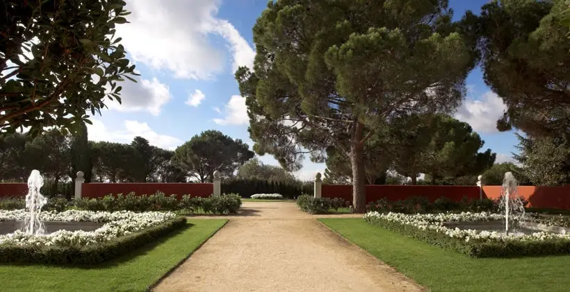 Paseo de albero entre fuentes y parterres de flores blancas, bajo los pinos